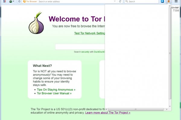 Ссылки в tor browser hydra торрент фильмы даркнет