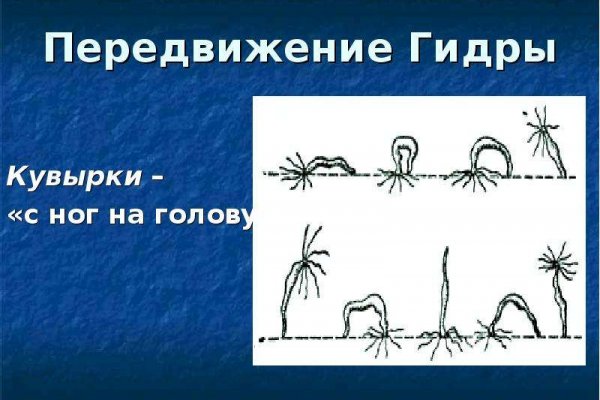 Зеркало Гидры